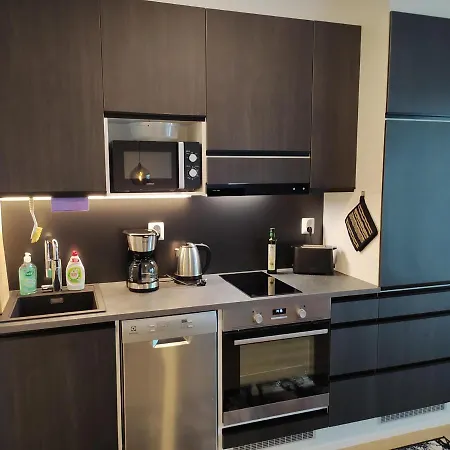 Ihana Uusi Keskustassa, Ilmainen Autopaikka! شقة Seinäjoki